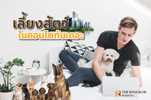 เรามาเลี้ยงสัตว์ในคอนโดกันเถอะ